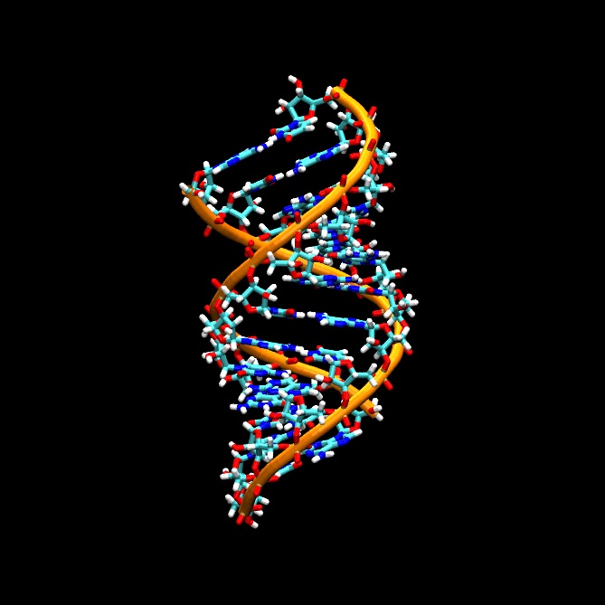 By Supyyyy - Own work, CC BY-SA 4.0, https://commons.wikimedia.org/w/index.php?curid=69928834