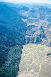 Global Change and Biodiversity: Understanding Our Future through the Past