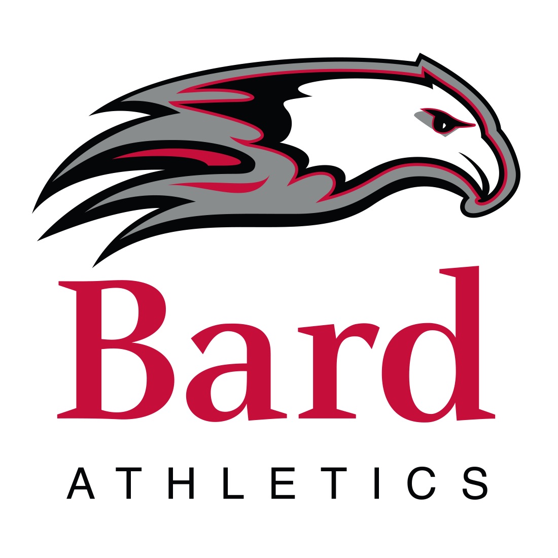 Women's Volleyball Matches