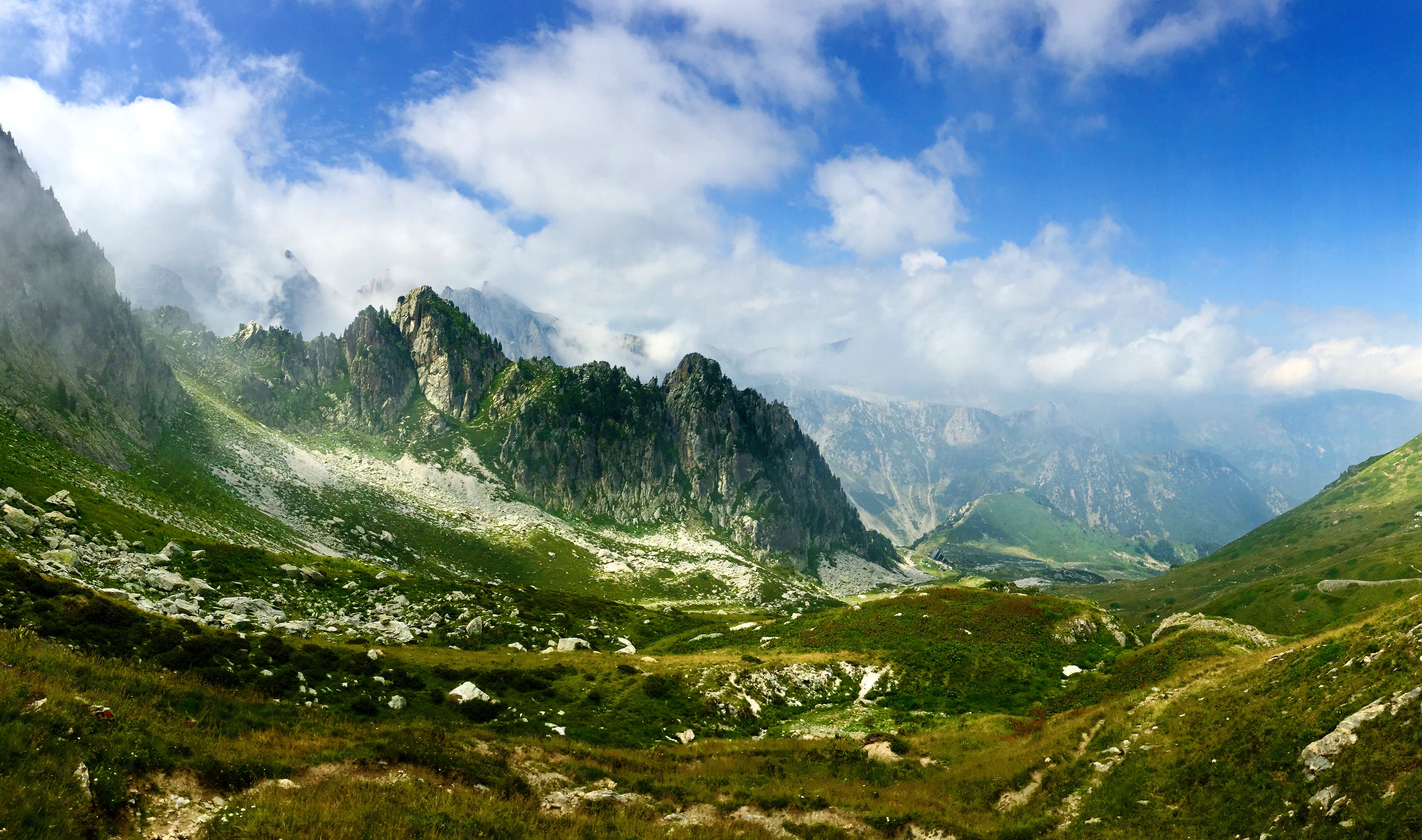 Disease at the Edge of Species Distributions:Anther-smut Fungi of Wild Carnations