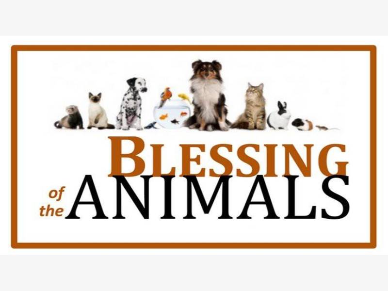 Blessing of the Animals