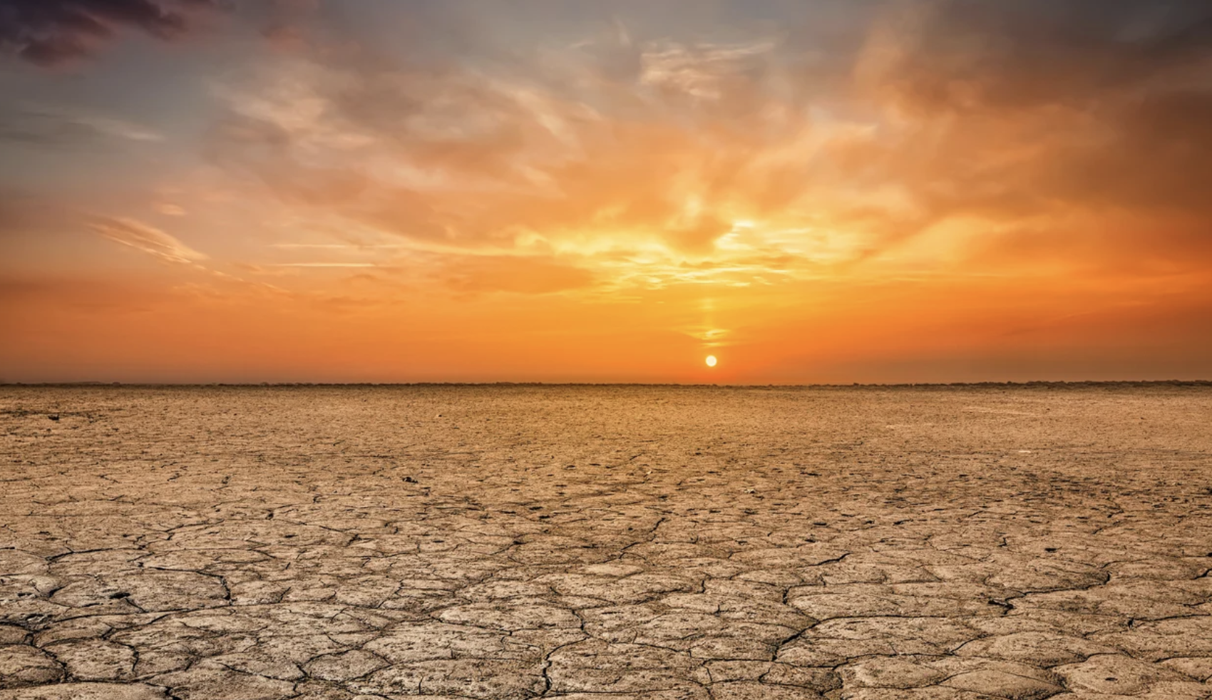 Solve Climate by 2030: A Global Dialog