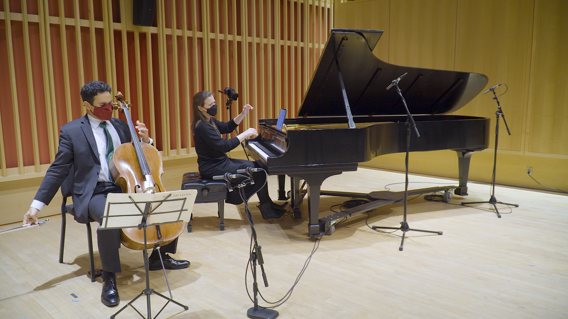 Faculty Recital:&nbsp;Raman Ramakrishnan, cello, and Erika Switzer, pianoBrahms Sonatas for Cello and Piano