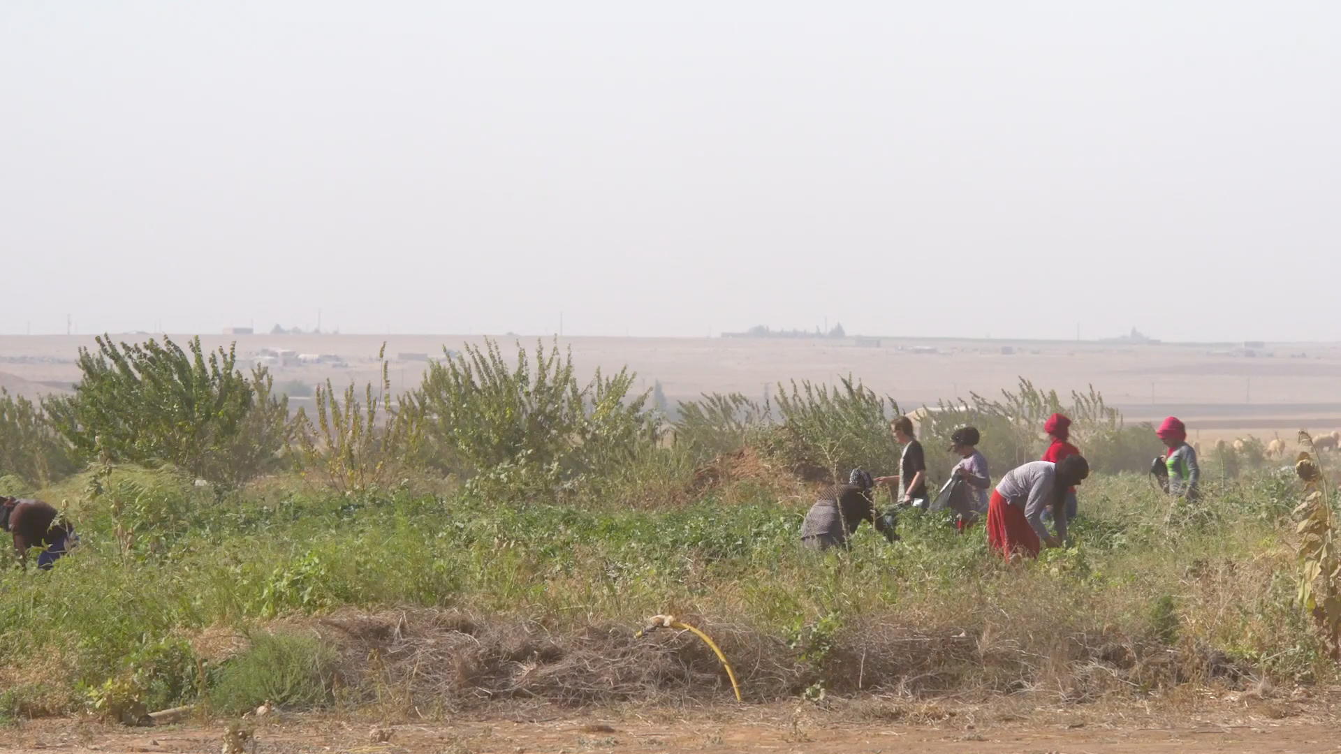 Who Is Afraid of Ideology?&nbsp;