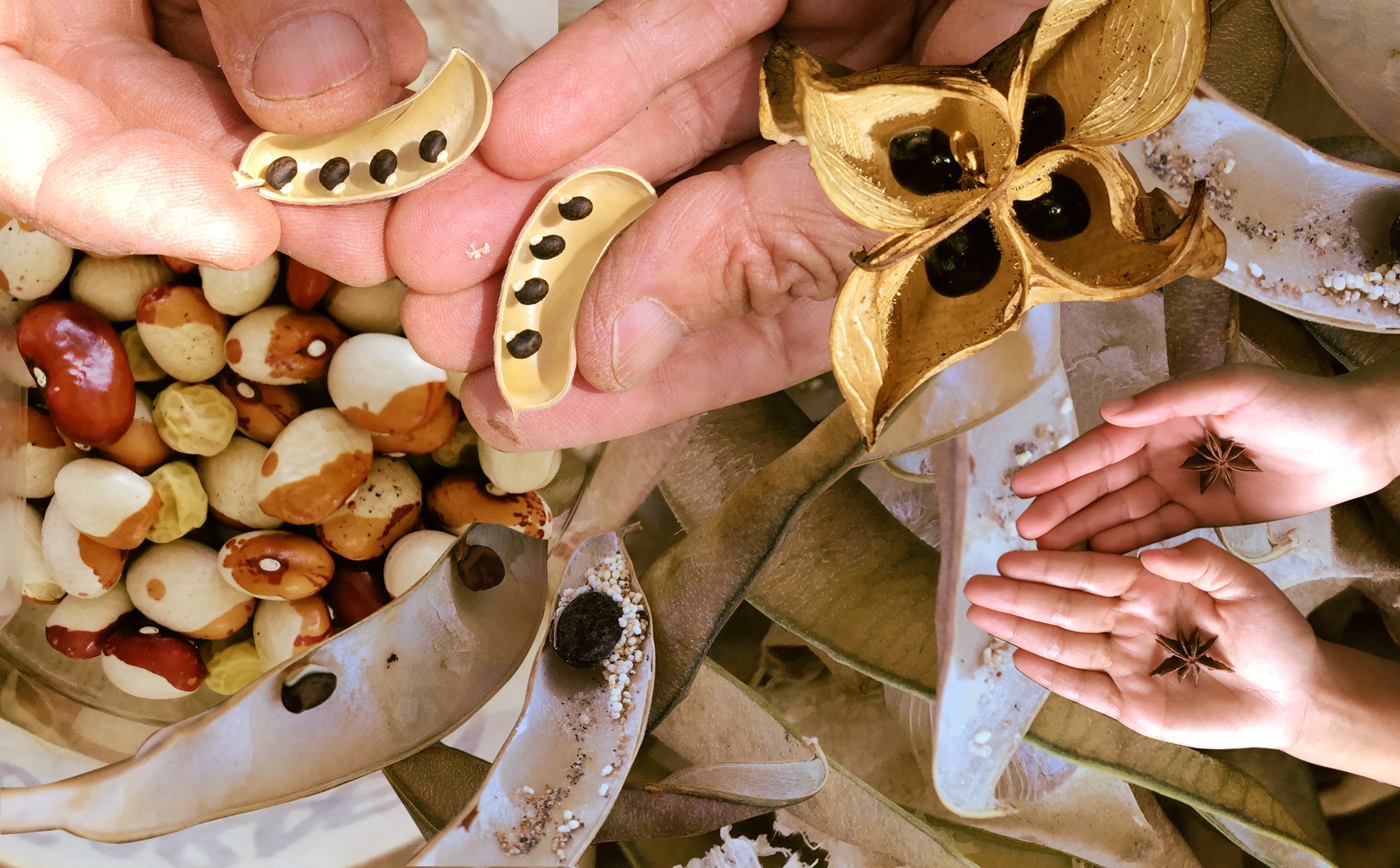 Visit https://chra.bard.edu/event/zayaan-khan/