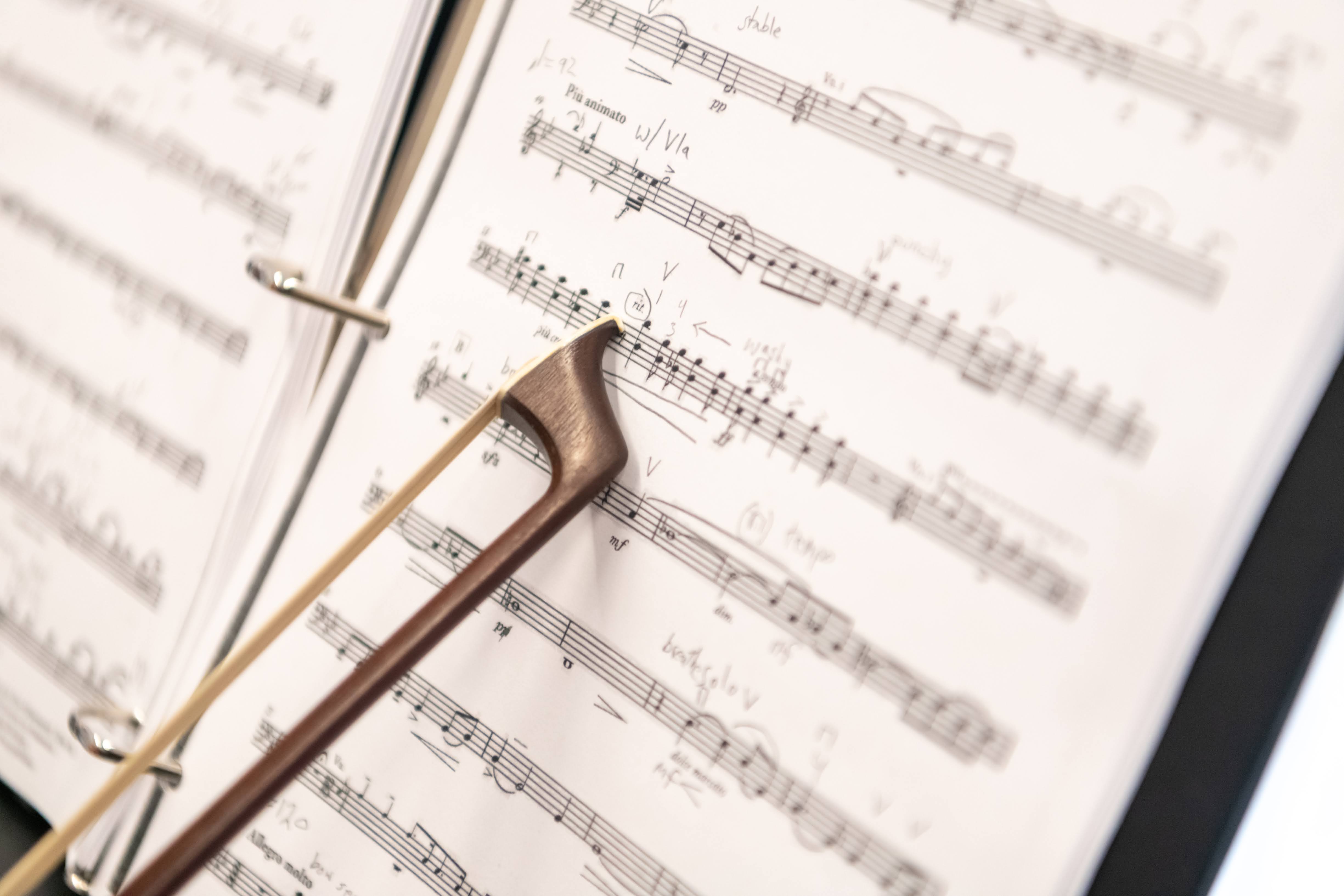 Viola Performance Class Recital&nbsp;