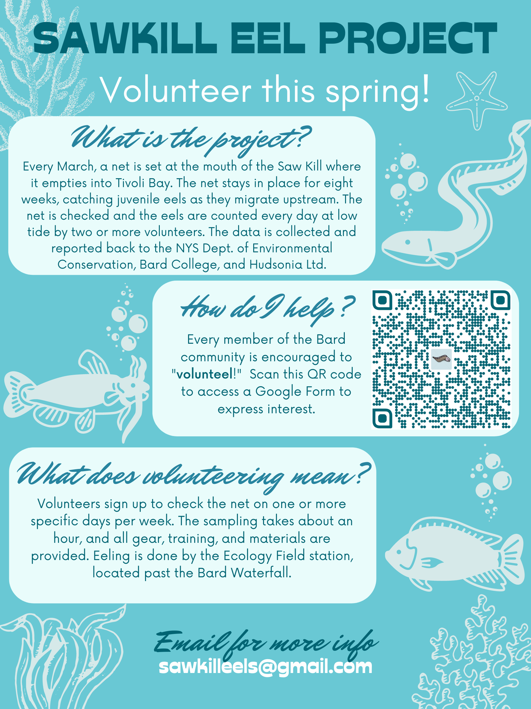 Sawkill Eel Project - Volunteer Opportunities!&nbsp;