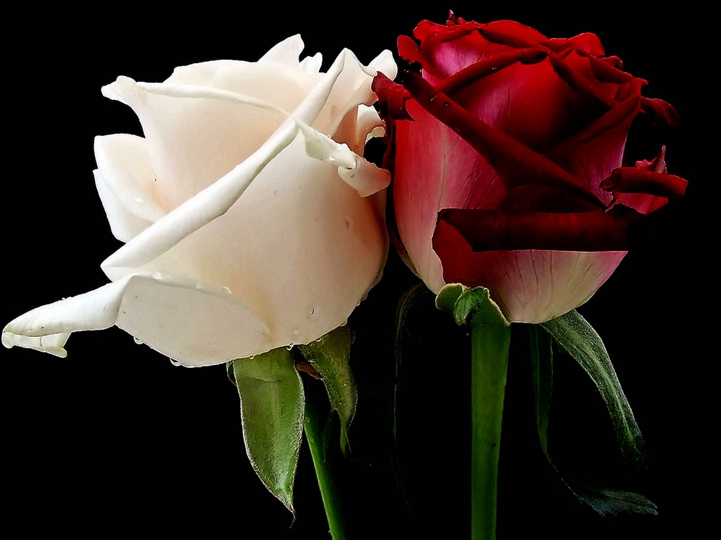 Rufus M&uuml;ller&rsquo;s Performance Class:&nbsp;