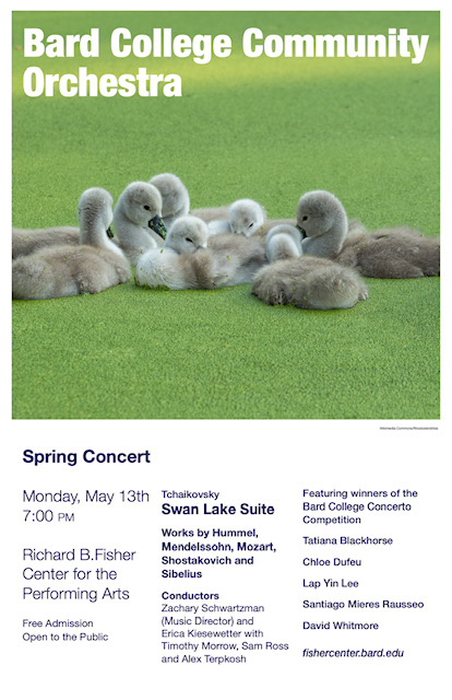 Bard College&nbsp;Community Orchestra&nbsp;