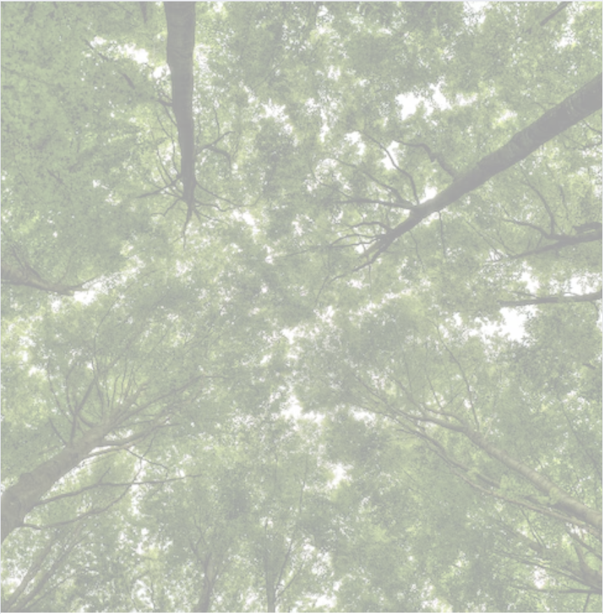 Student Recital:&nbsp;Sophia Cornicello, piano