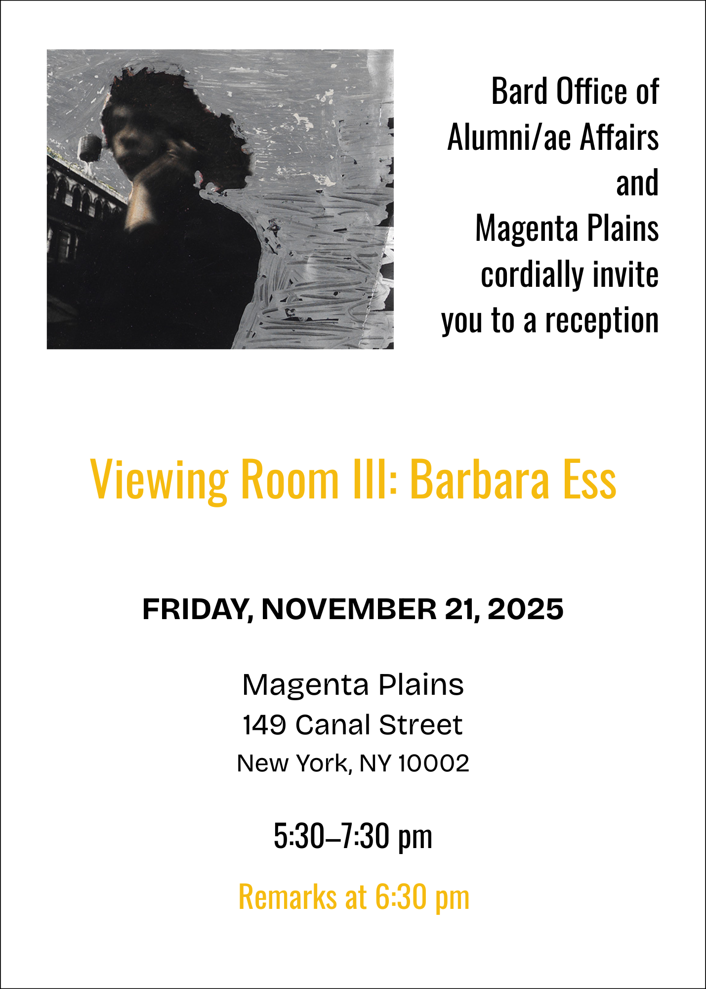 Viewing Room III: Barbara Ess