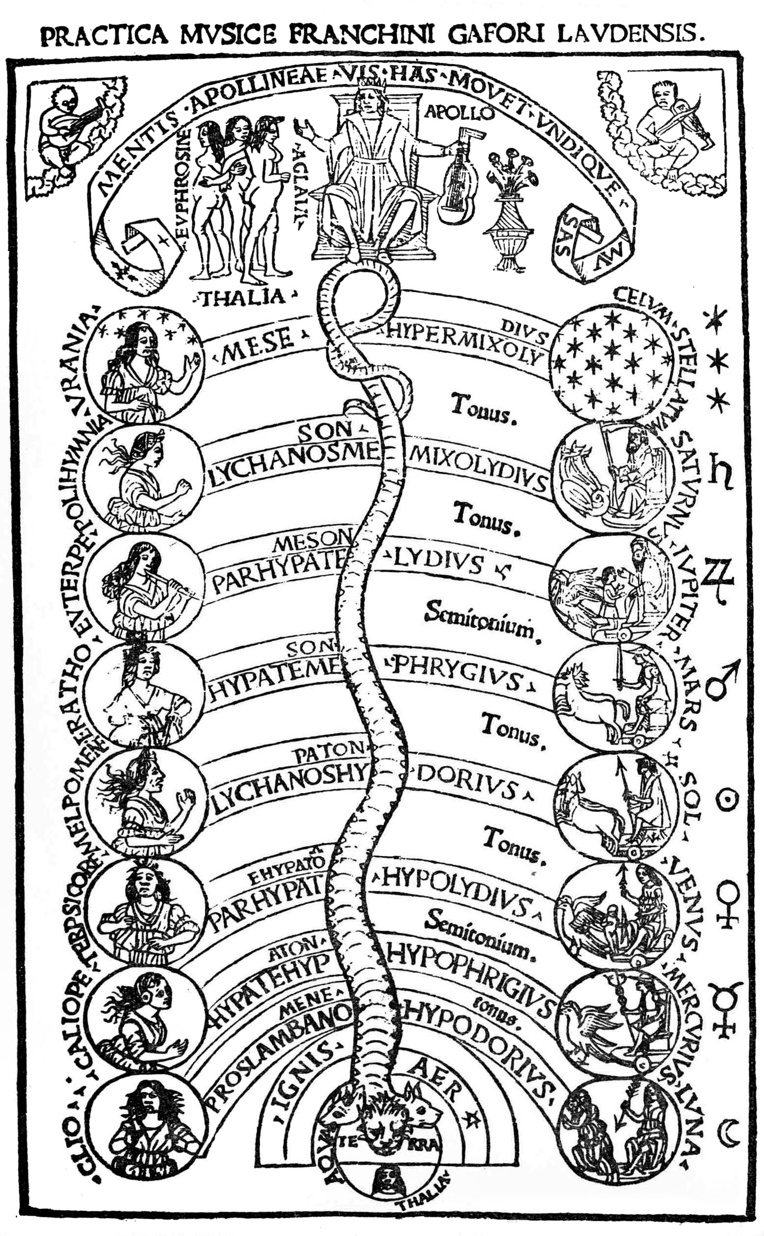Plato's Harmonic Cosmos