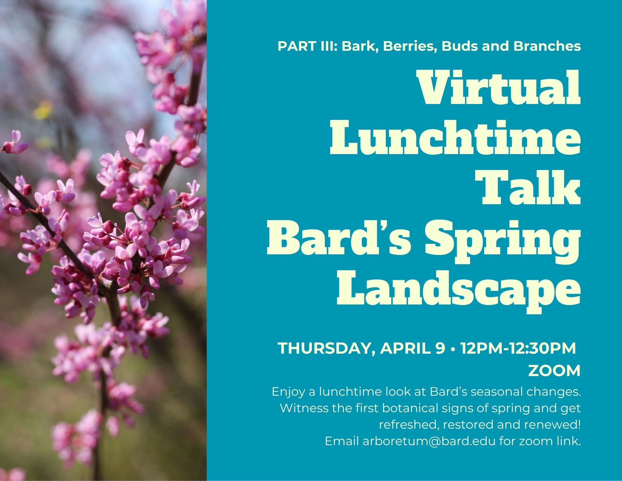 Virtual Lunchtime Talk: Bard's Spring Landscape