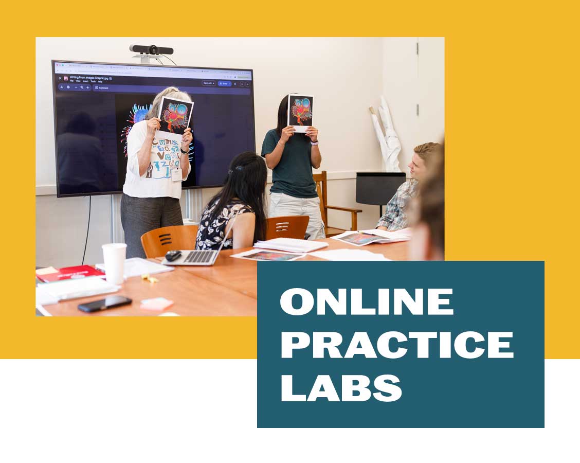 First Thoughts: Online Practice Labs