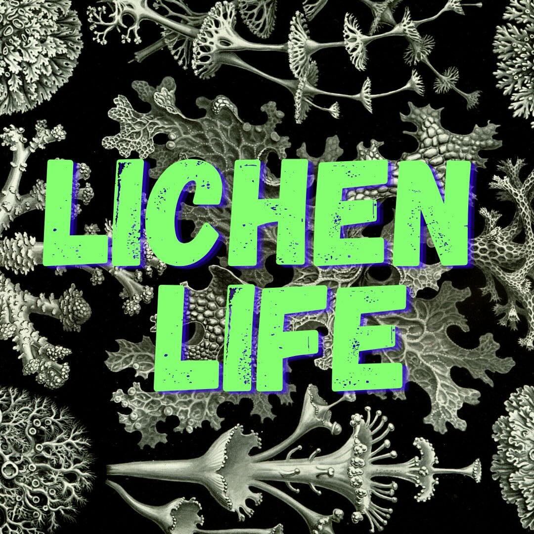 Workshop: "Lichen Life" with Zan Tomko