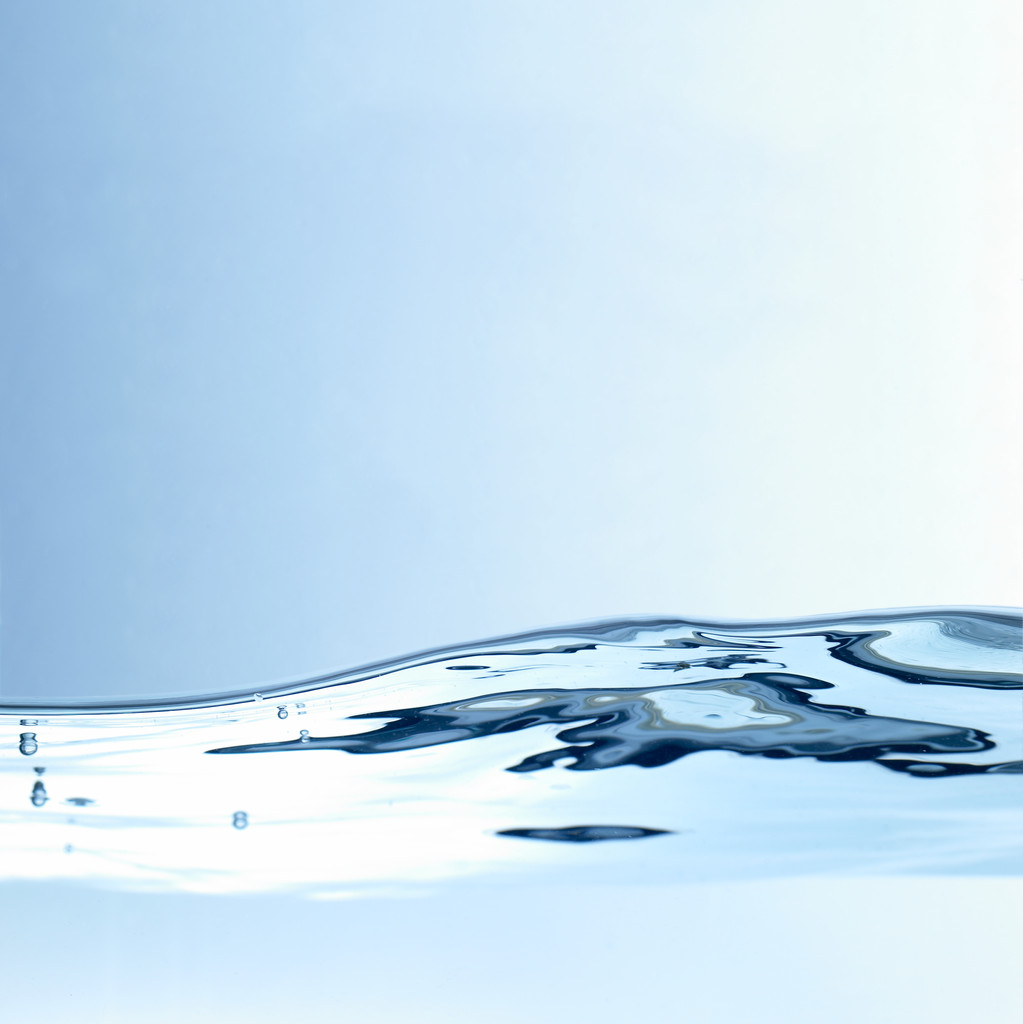 Independent Research Poster Session