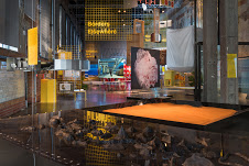 Diasporic&nbsp;Futurities