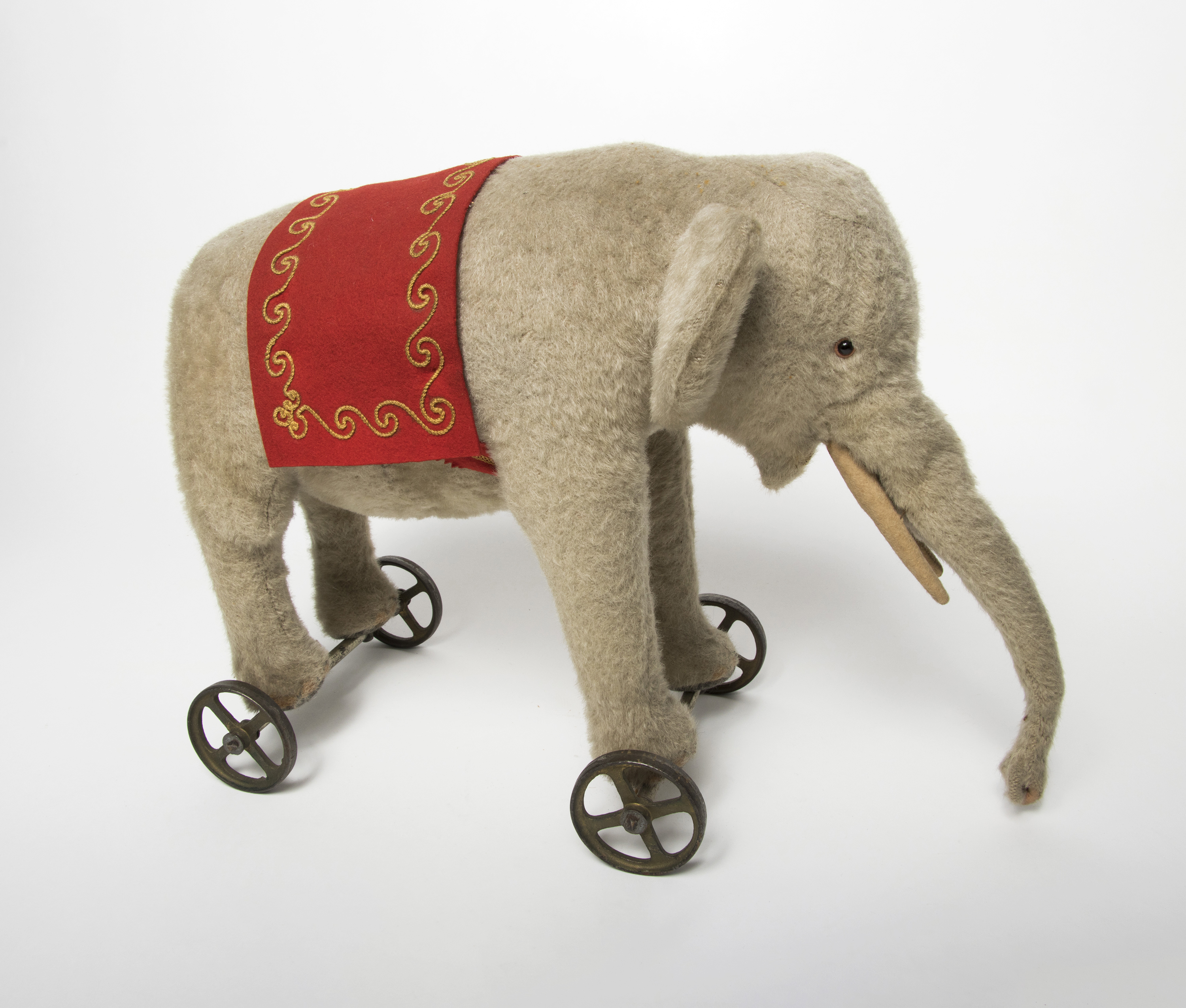 The Curiosity Cabinet : An Exhibition