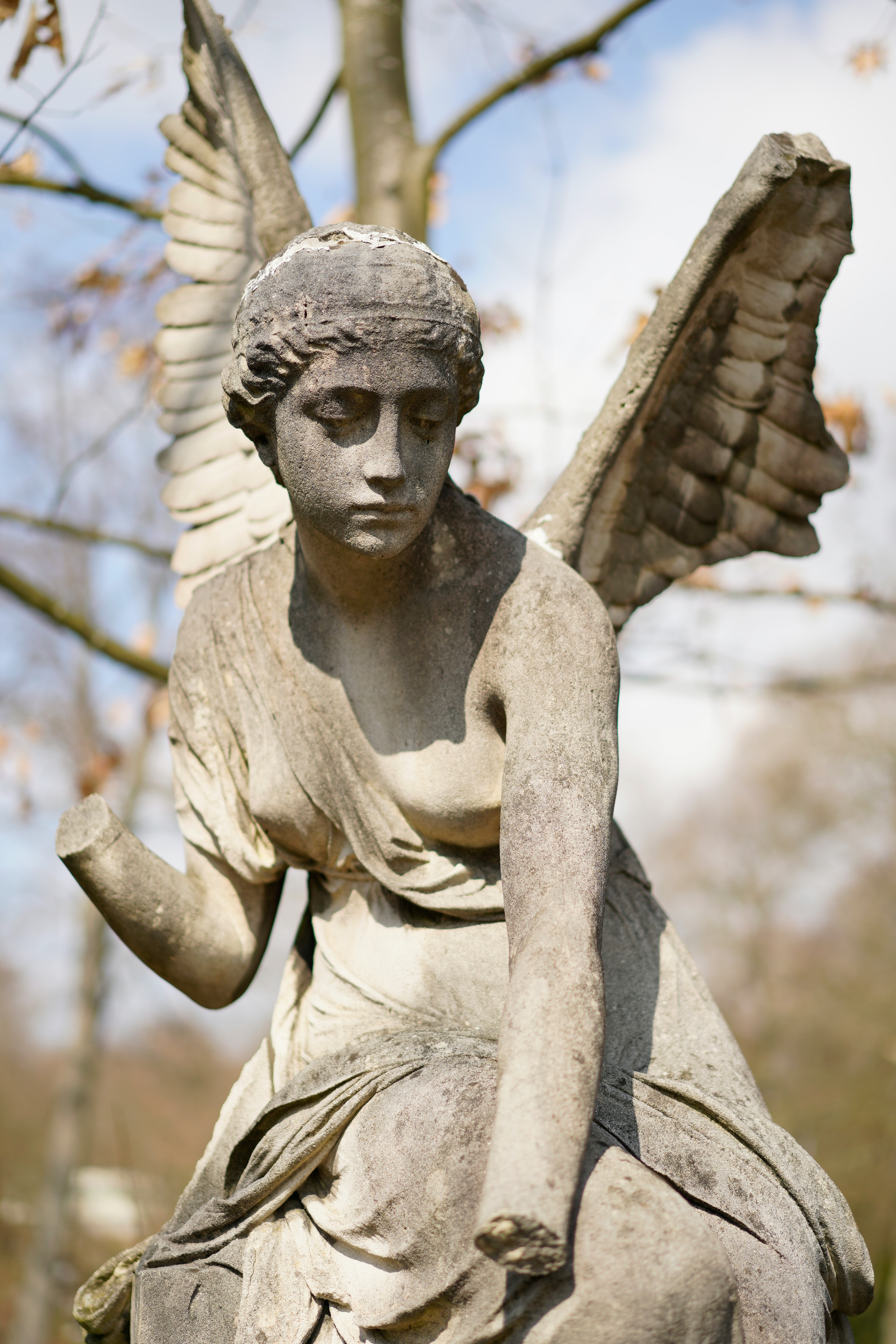 Visit https://bard.zoom.us/j/87845248204