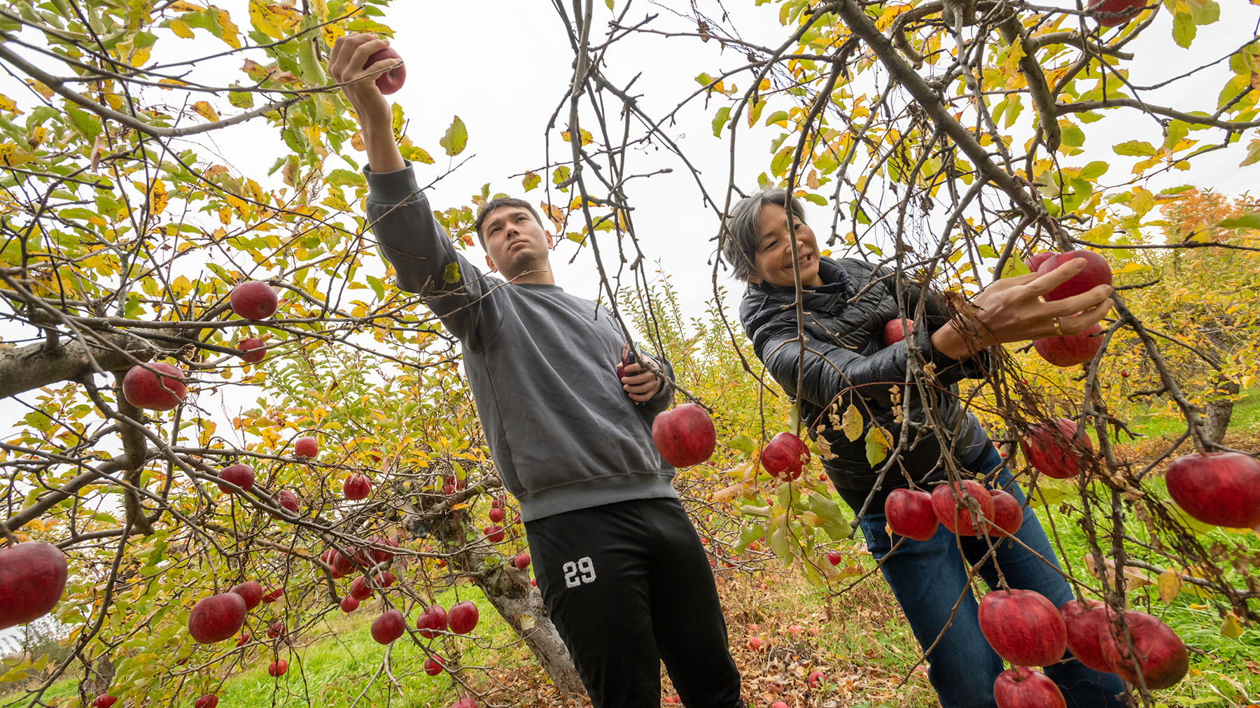 Family and Alumni/ae Weekend
