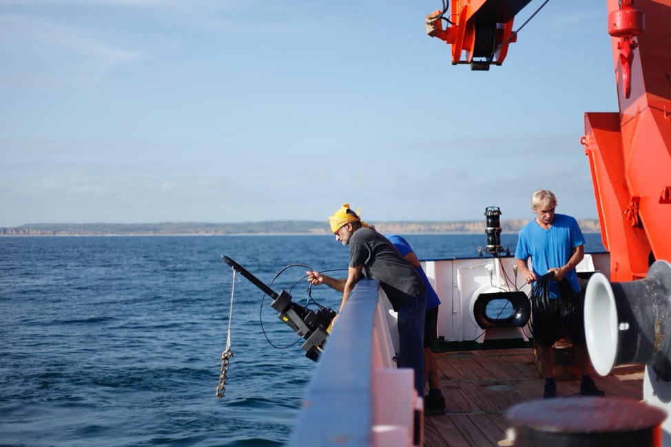 The Role of the Amazon River Outflow and Tropical Instability Waves in Controlling Phytoplankton Biomass in the Tropical Atlantic Ocean&nbsp;