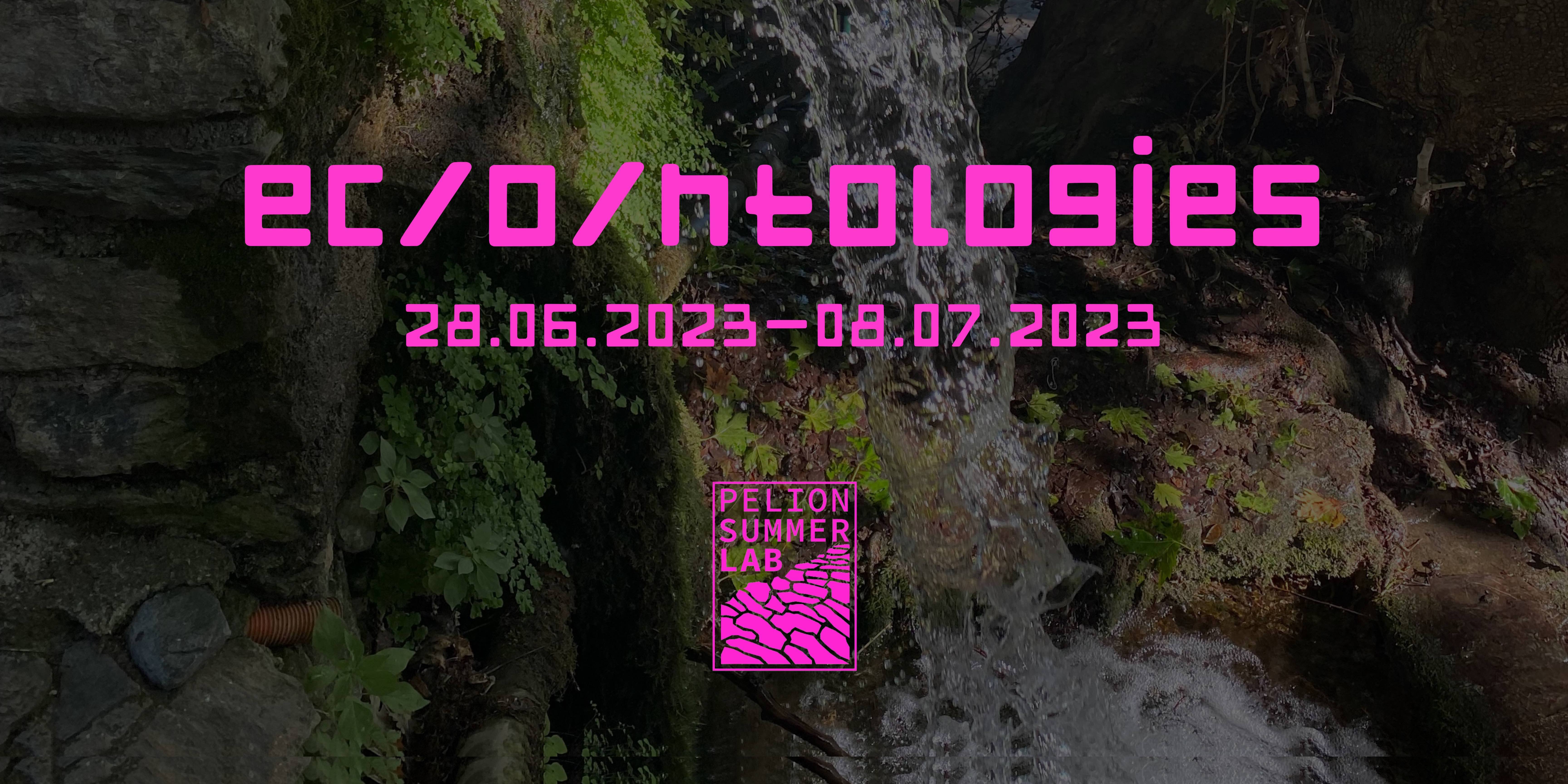 Visit https://www.pelionsummerlab.net/