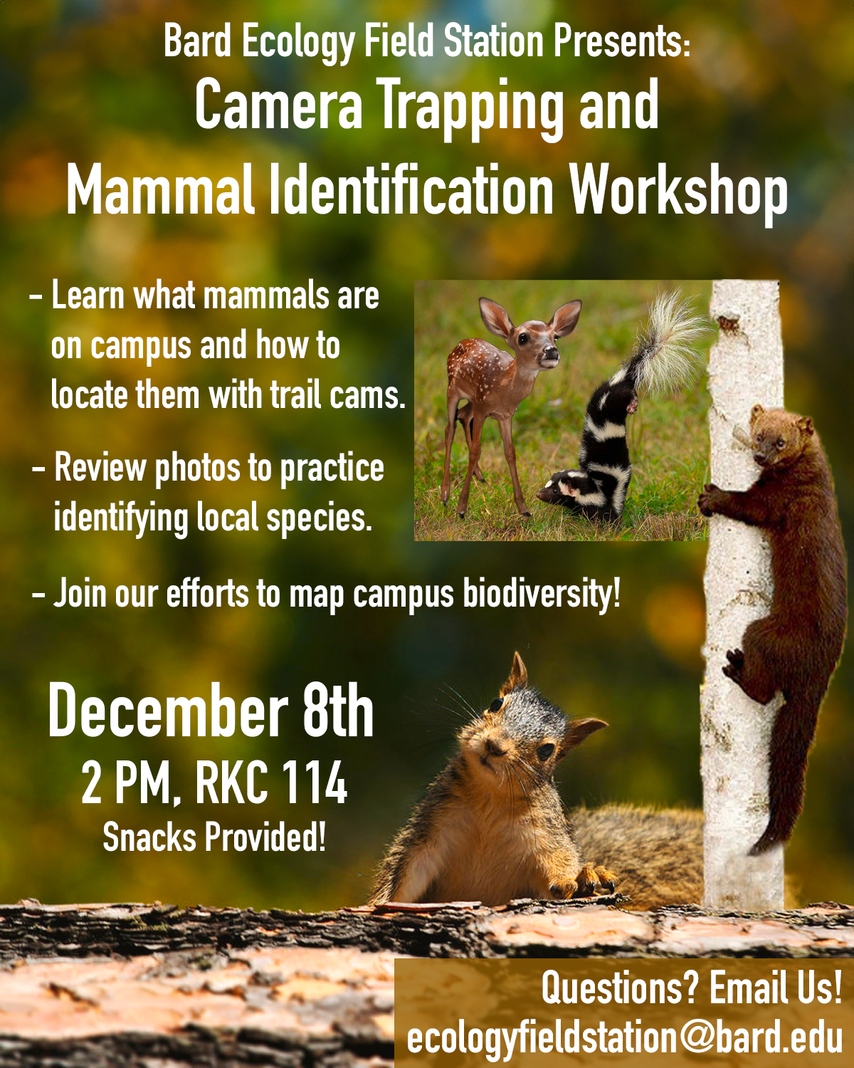 Camera Trapping and Mammal Identification Workshop