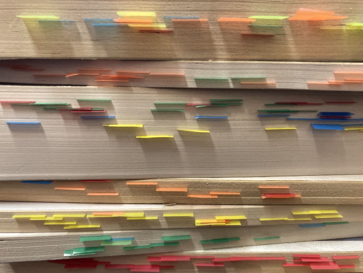 Literature Salon: Senior Project Presentations