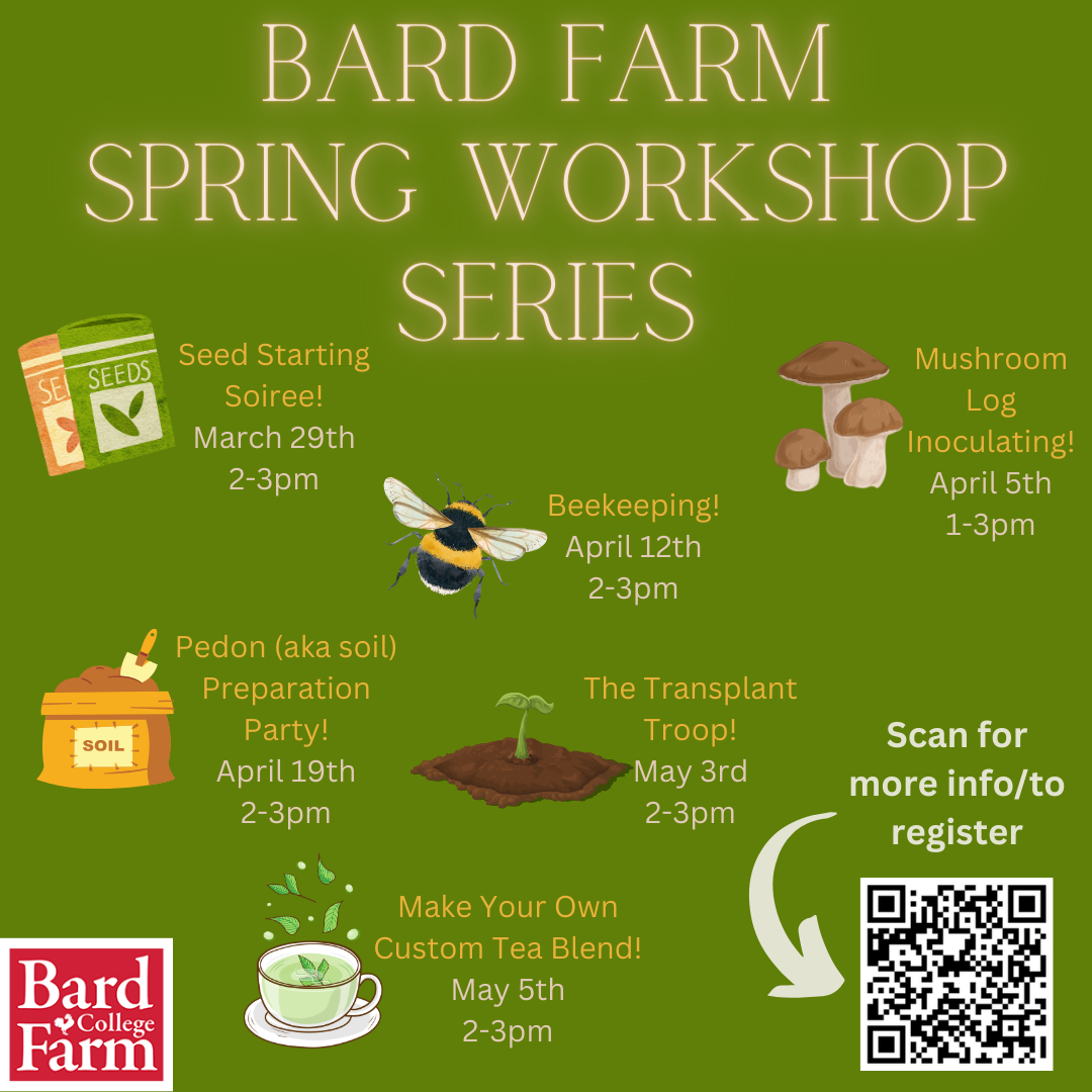 Make Your Own Custom Tea Blend!