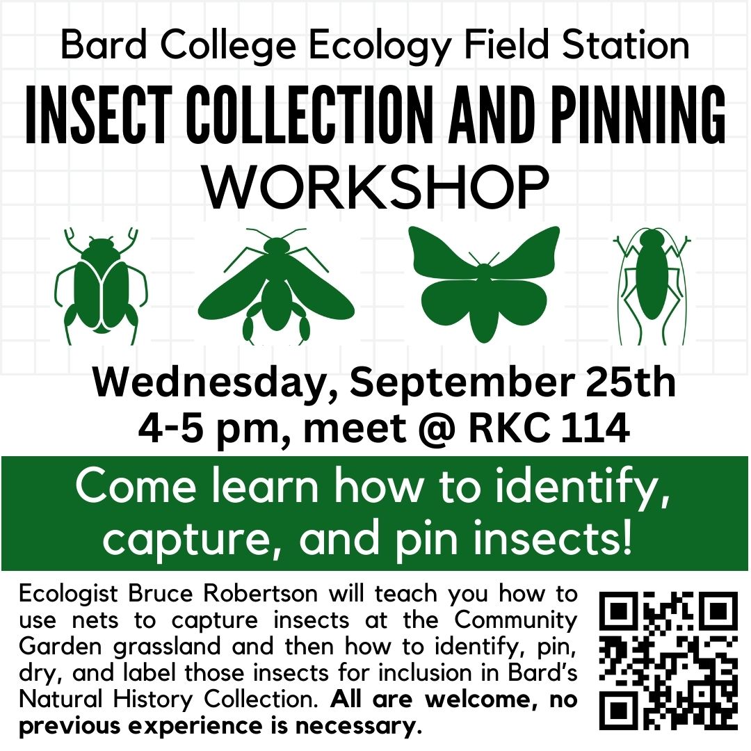 Insect Collection and Pinning Workshop