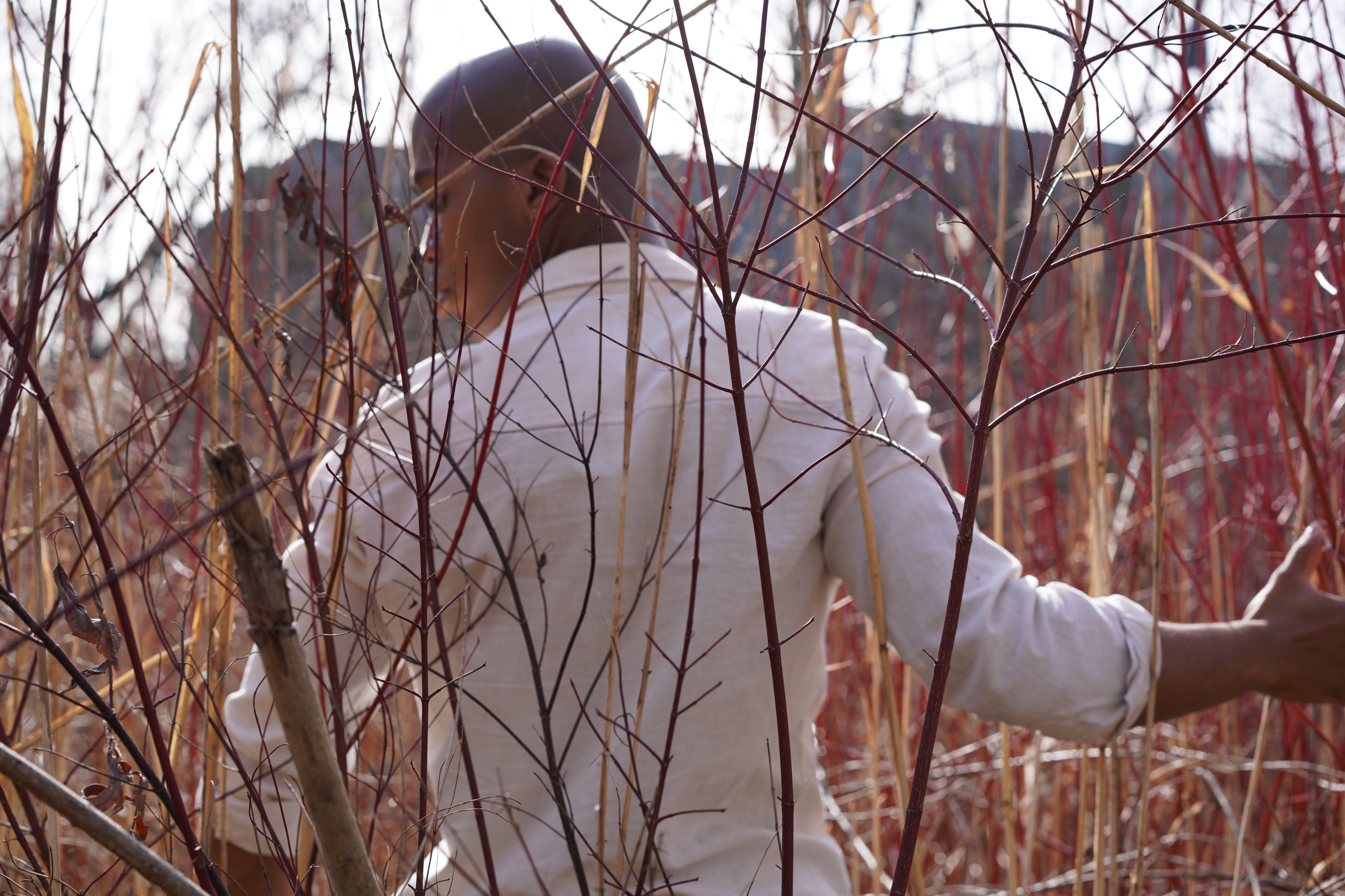 A person walking through tall grass.; Degree Recital: Jacob Hunter, tenor, with Yi-Hsuan Hsia, piano