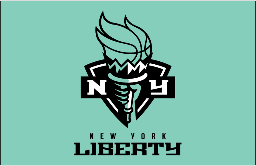 A Night with the WNBA