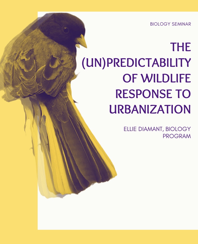The (Un)predictability of Wildlife Response to Urbanization, a poster with a bird on it.; The (Un)predictability of Wildlife Response to Urbanization