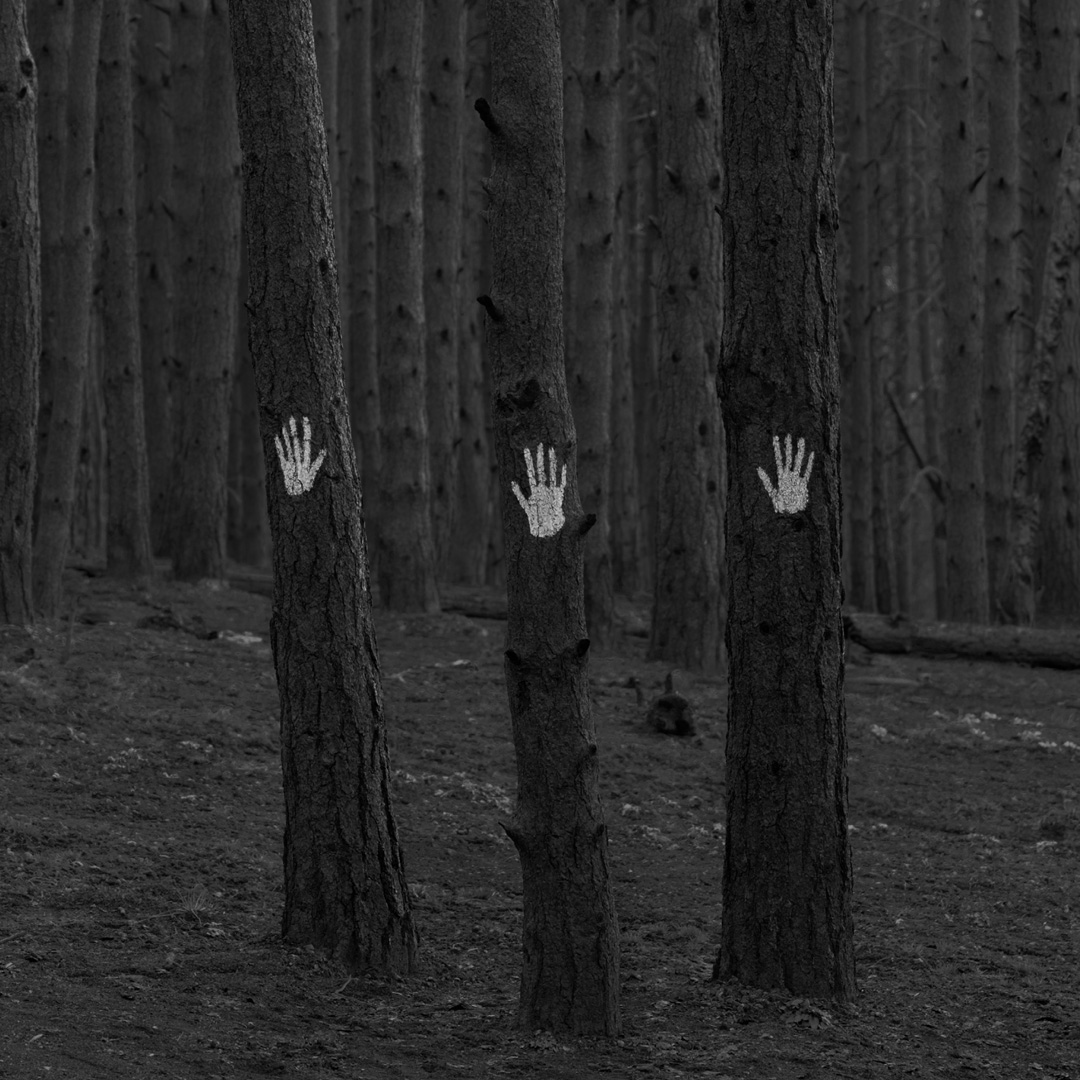 Handprints on three trees.; Feeling Data: Art in Pursuit of Social Change