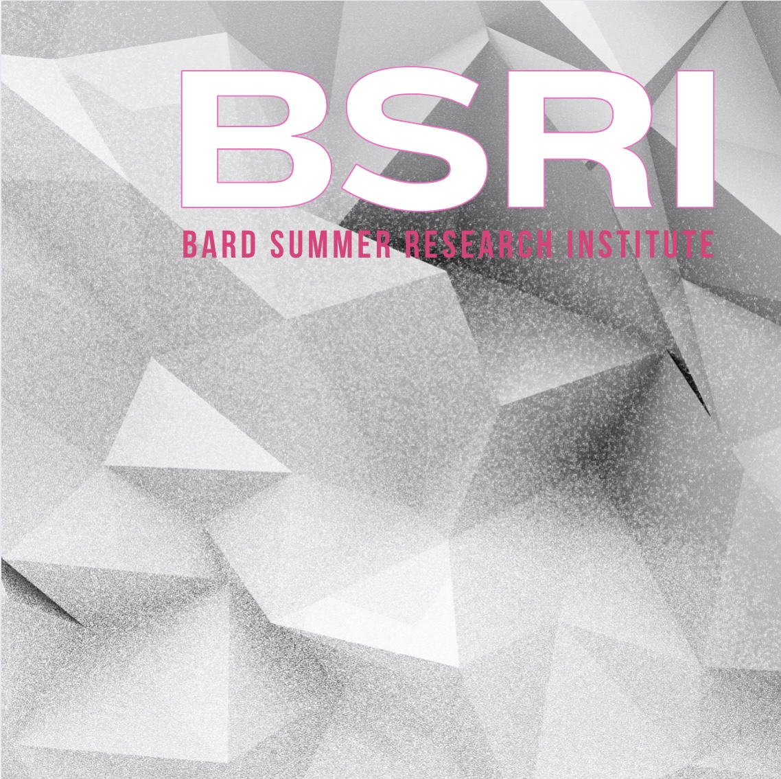 An abstract poster for the Summer Research Institute.; Bard Summer Research Institute Poster Session