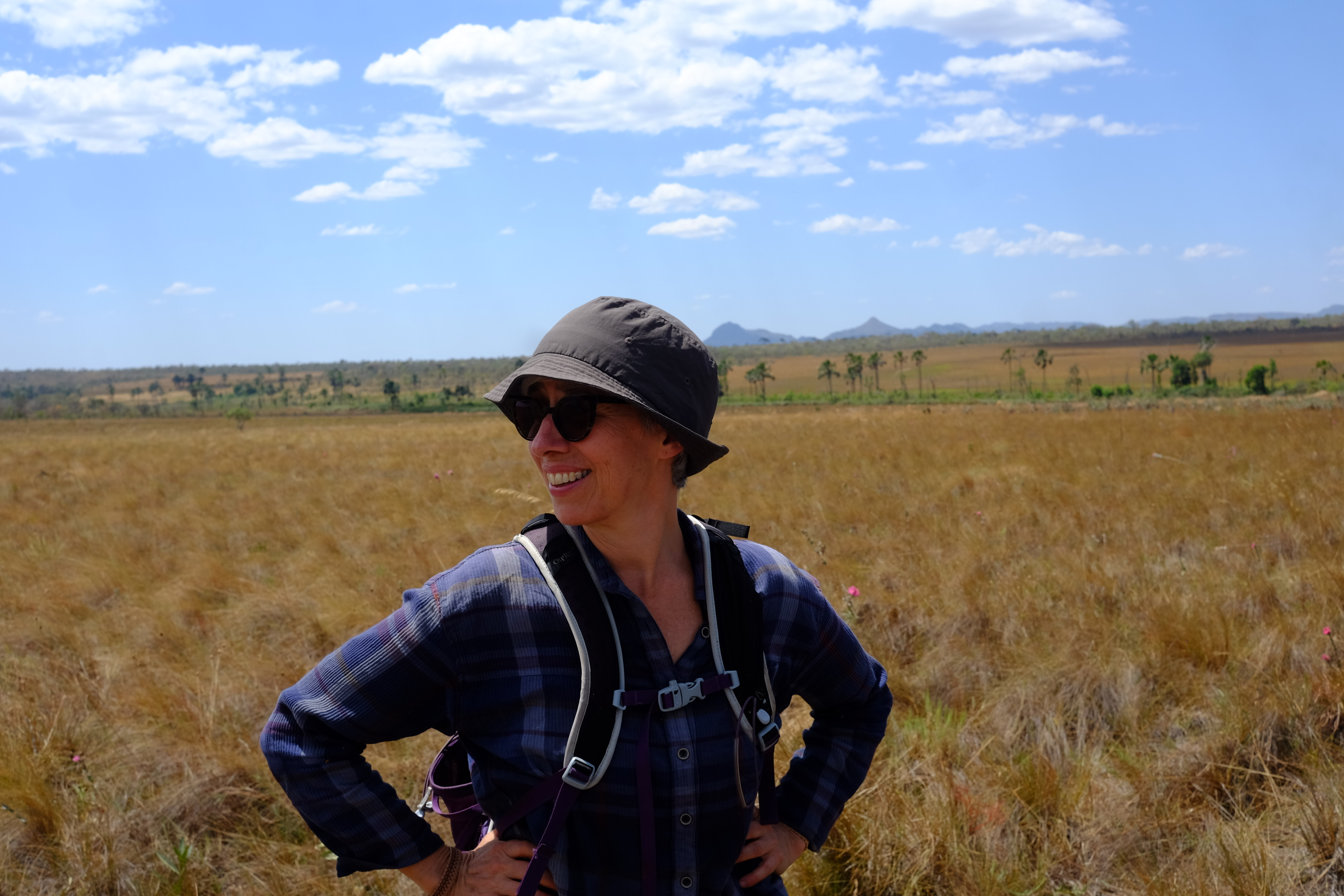 A Deteriorating State of Affairs: How Plant Construction Affects the Afterlife