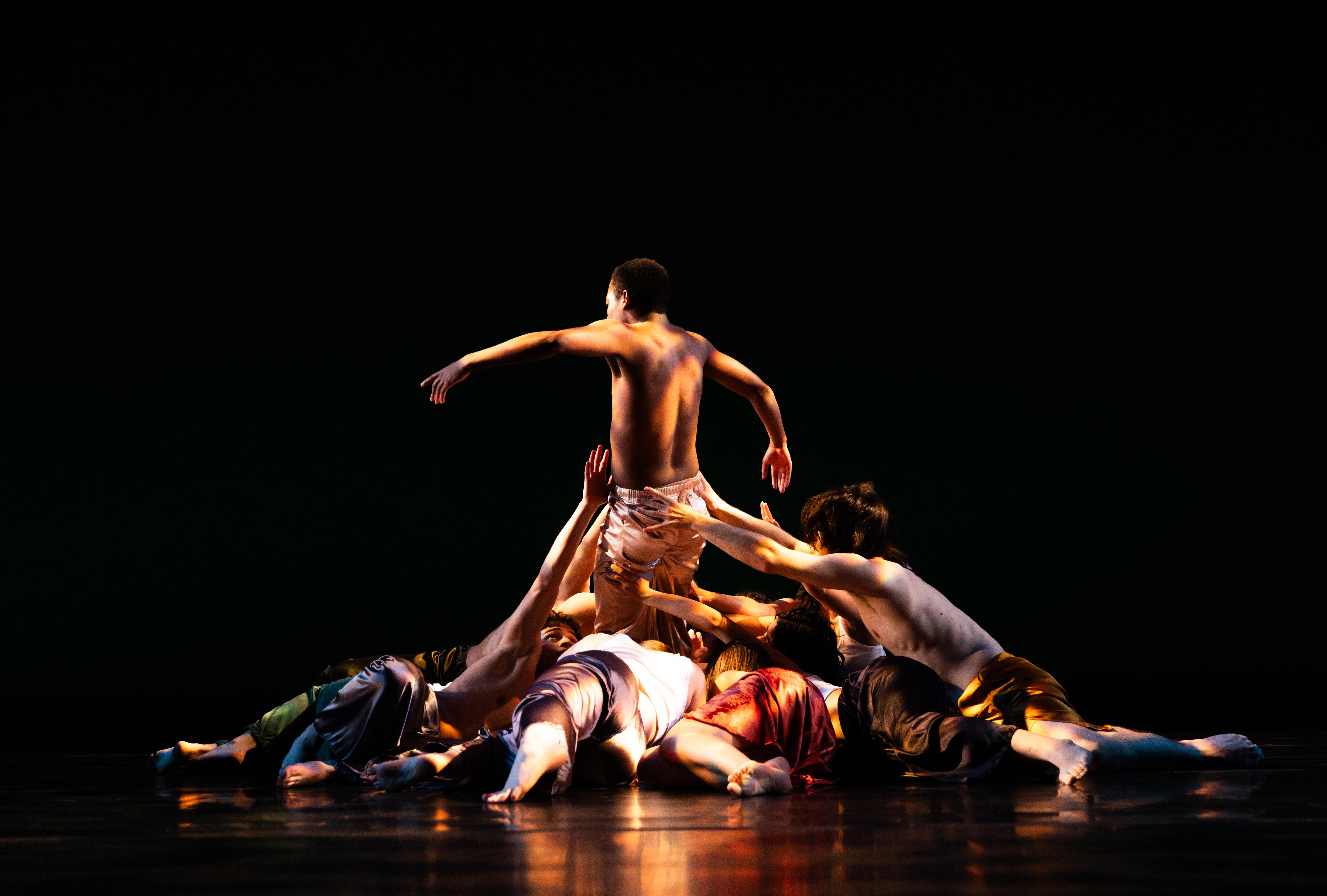 Visit https://fishercenter.bard.edu/events/2026-spring-senior-dance-concert/