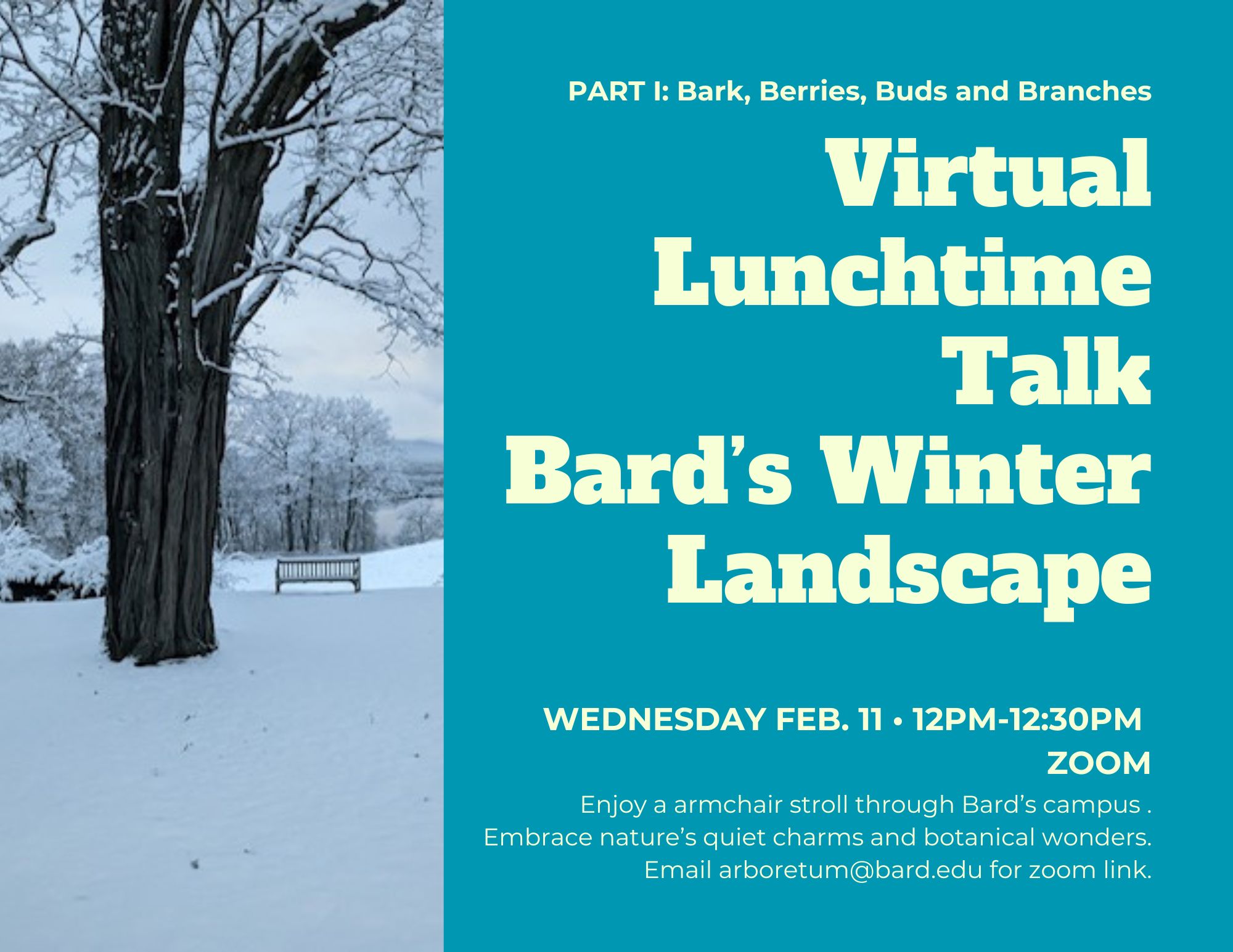 Poster with an image of a tree and bench in the snow and the text included in this event listing.; Virtual Lunchtime Talk Bard's Winter Landscape