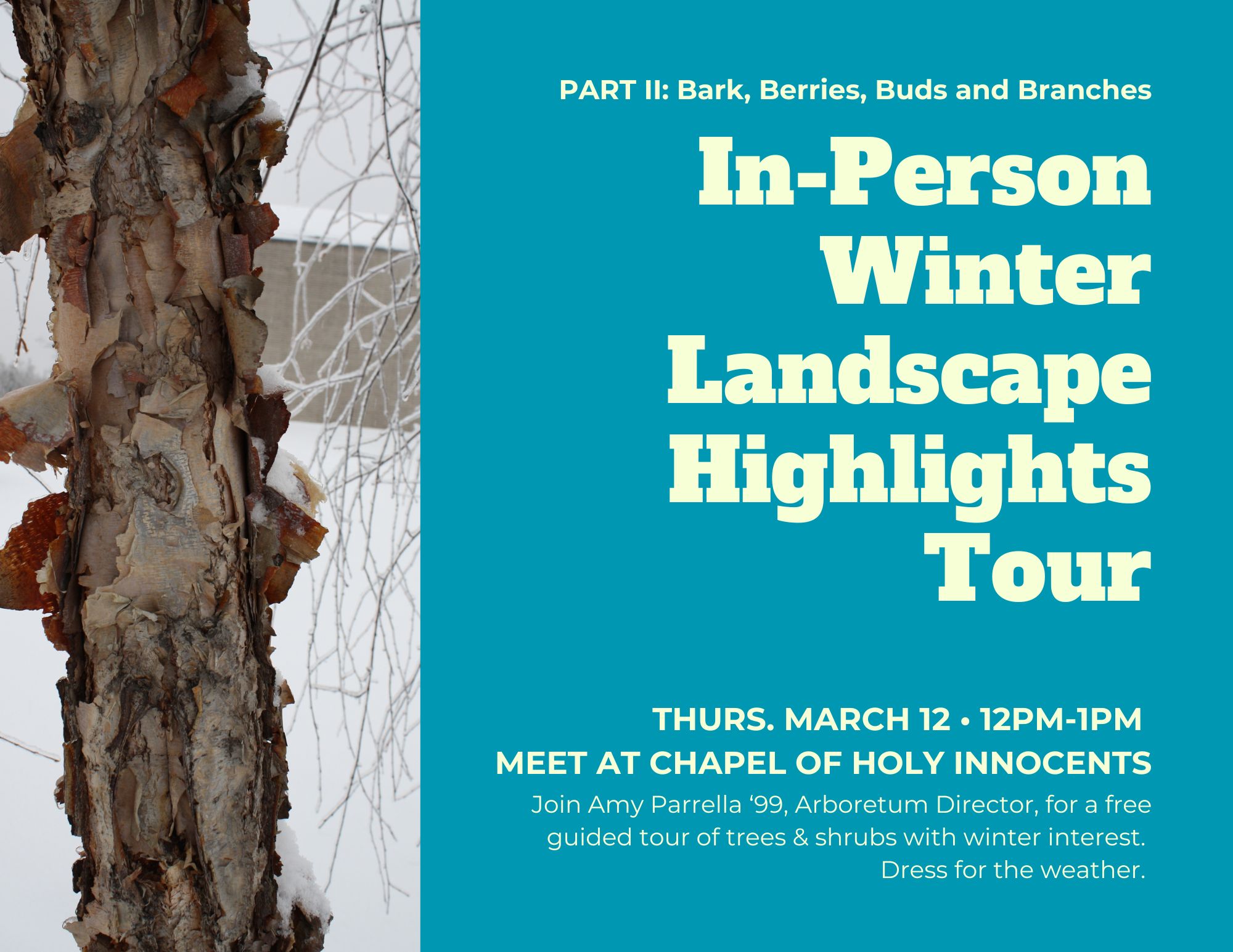 In-Person Winter Landscape Highlights Tour