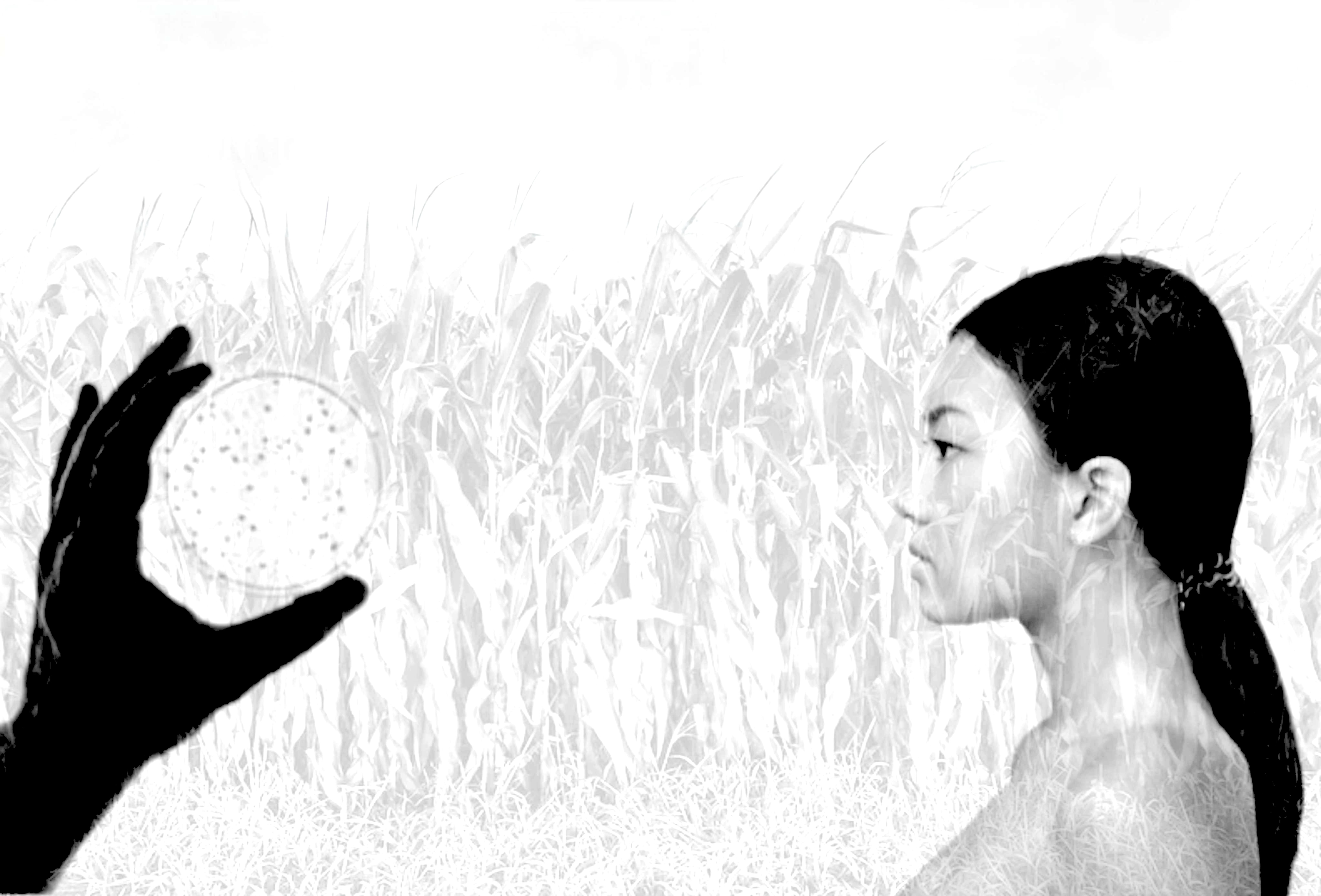 (Not) The Last Of Us: Using Evolutionary Theory to Prevent and Combat the Emergence of Fungal Pathogens