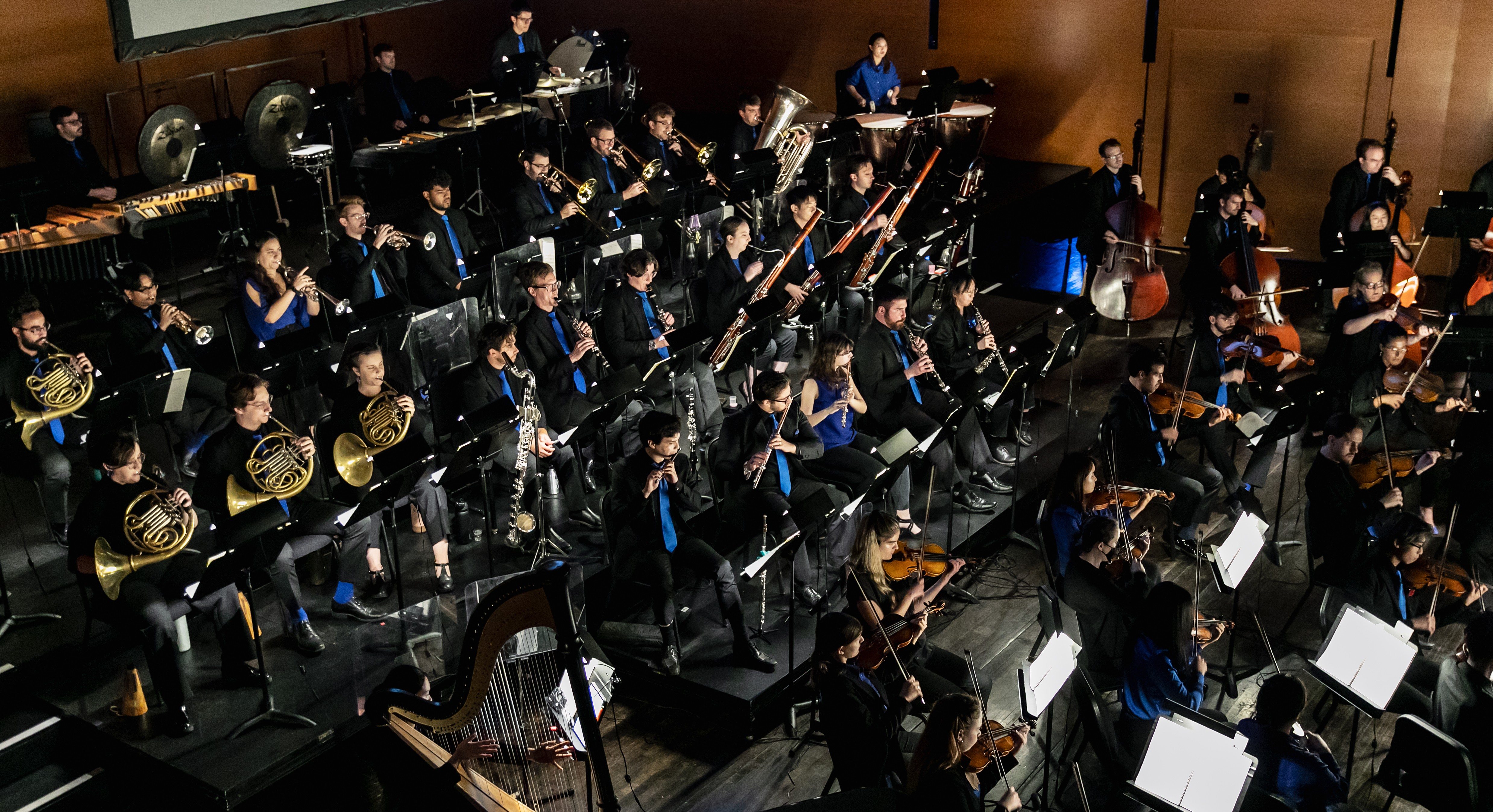 Visit https://fishercenter.bard.edu/events/strausss-alpine-symphony/
