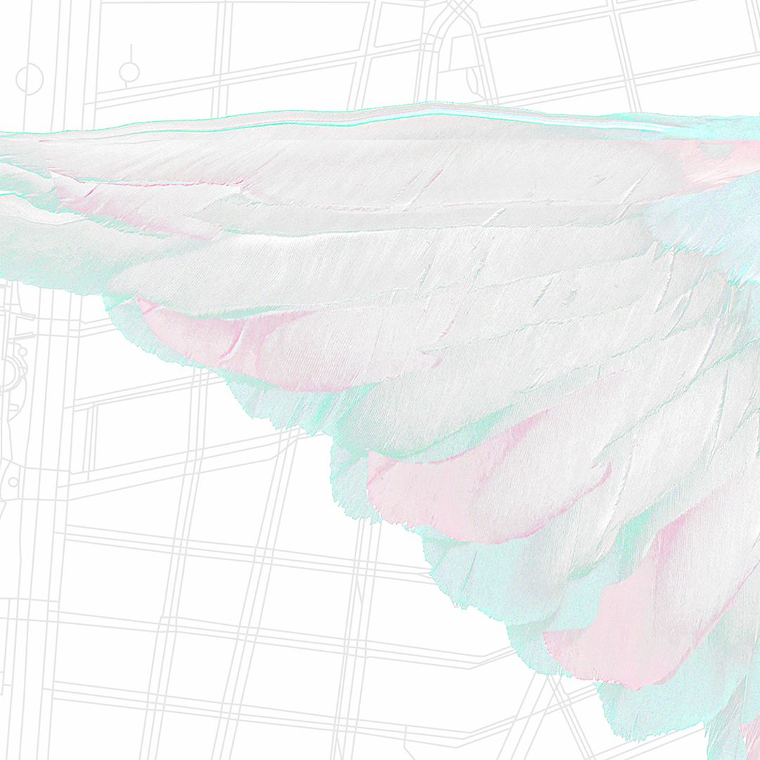 A bird wing, over a grey and white grid. ; Undergraduate Degree Recital: Garrick Neuner, baritone