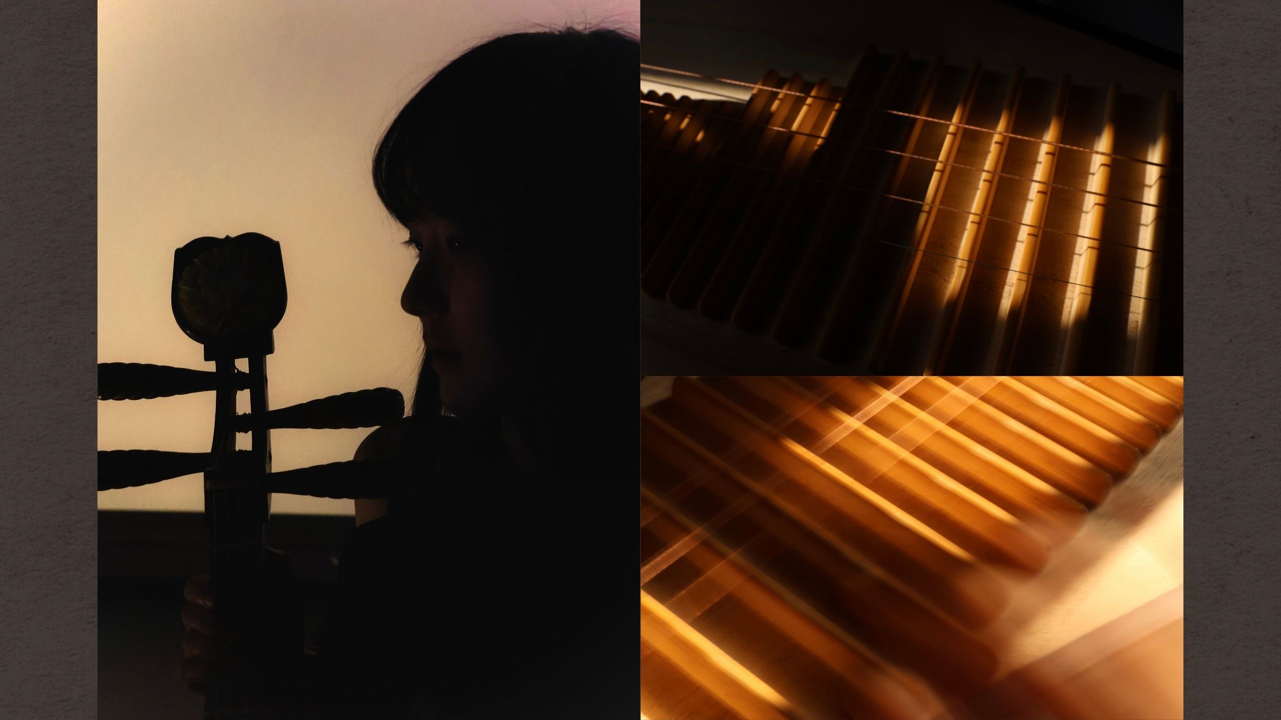 Undergraduate Degree Recital: Xiaoyan Luo, pipa