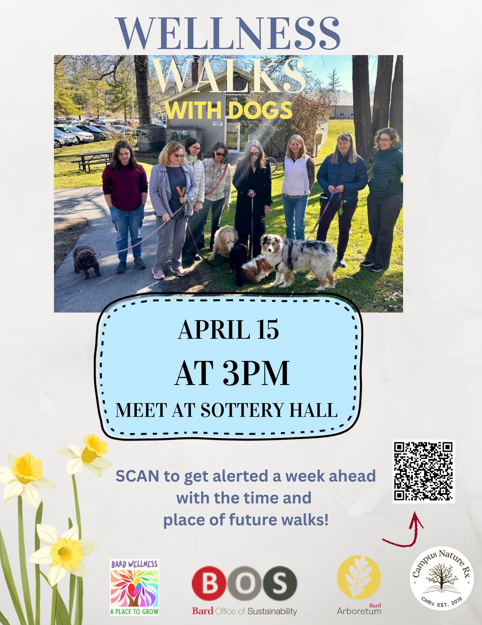 Wellness Walks With Dogs&nbsp;