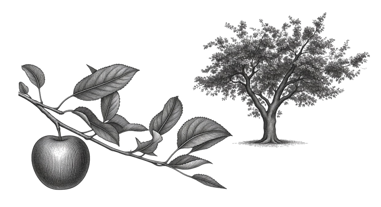 Heterozygosity in Apples, Cider, and Life
