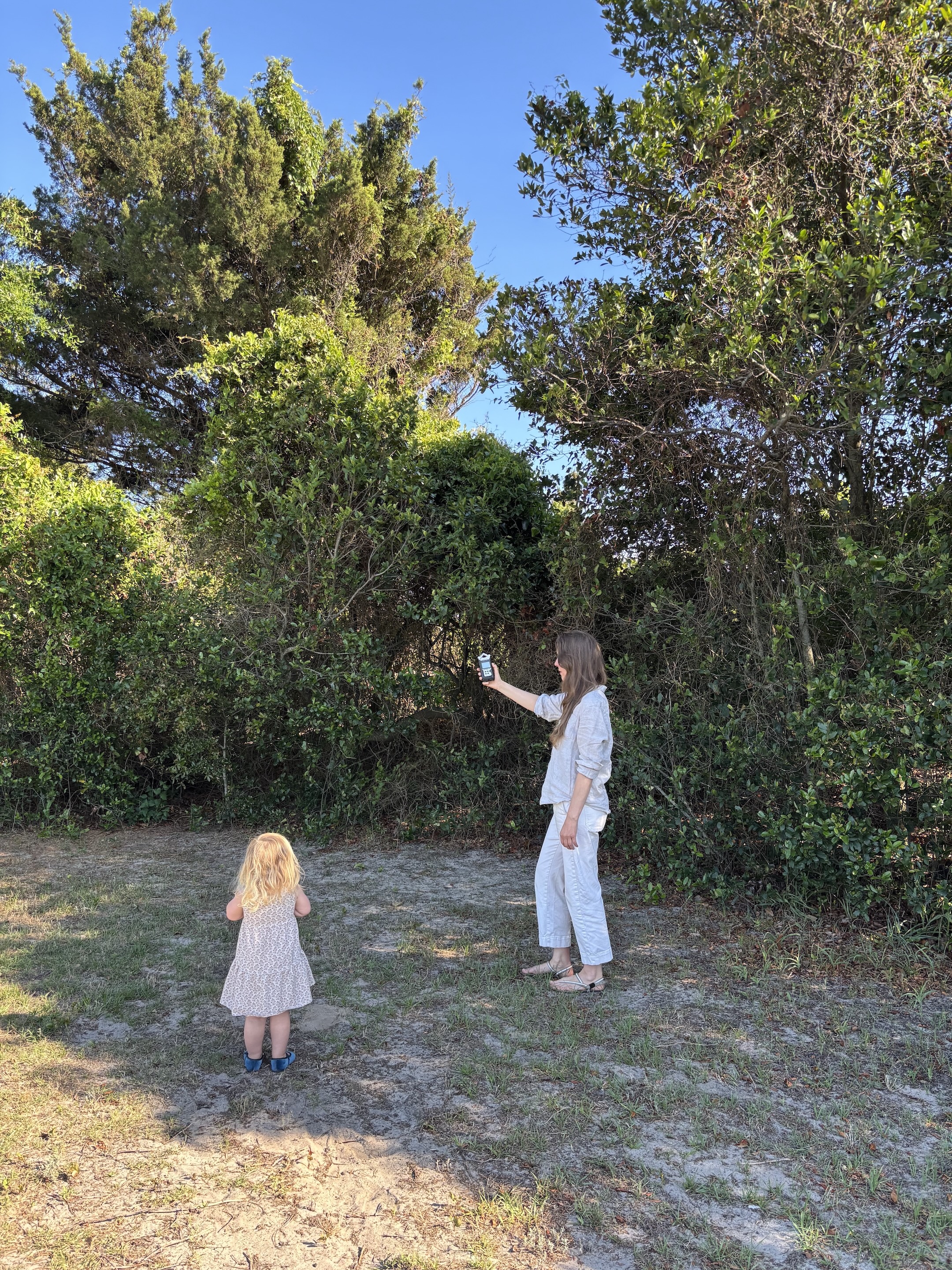 Field Notes: The Warbler Birdsong Project