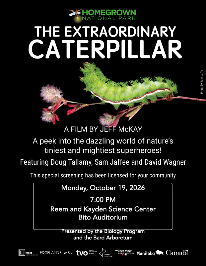 The Extraordinary Caterpillar