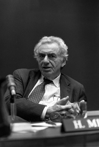 Hyman minsky financial instability hypothesis picture