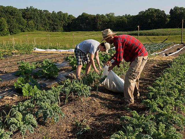 Graduate School Outcomes