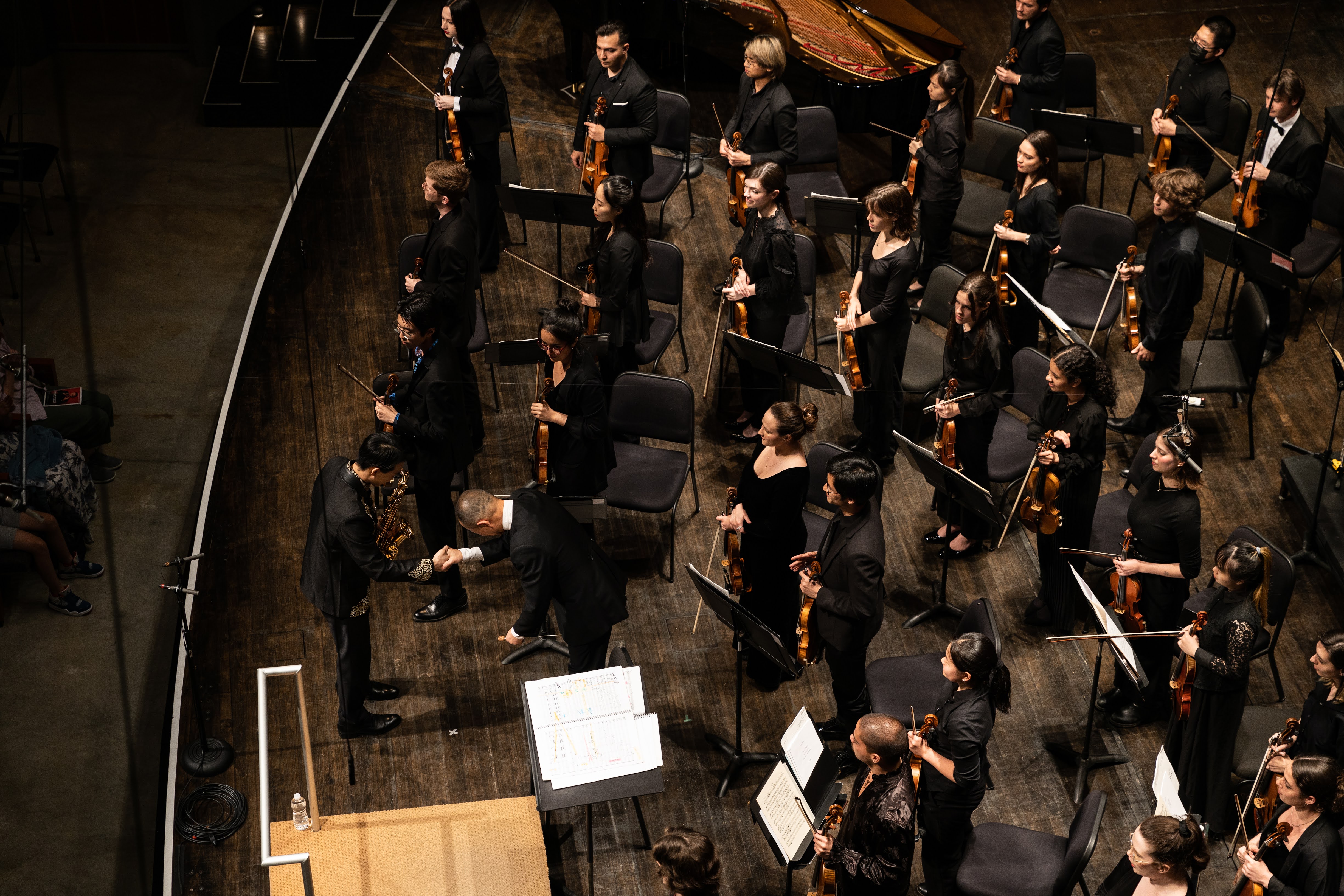 Bard Conservatory Sphinx Scholarship